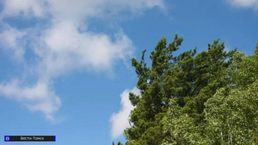 ����� �����: ����� ������� � �������� ������� � 18 ������