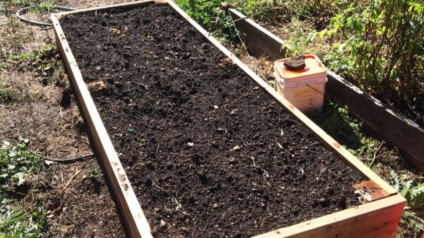 ������� �������� ������� ������� �������