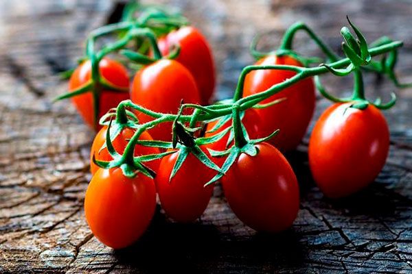 ������ ���������: ������� ���� � ������� ������ ������ ���������