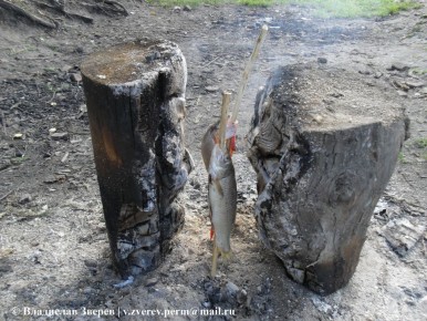 ��� ������� ��������� �������� ����� �� �������