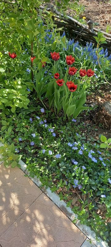 ��� �������� ��� �� ���������� ����������: ������� ������ � ������