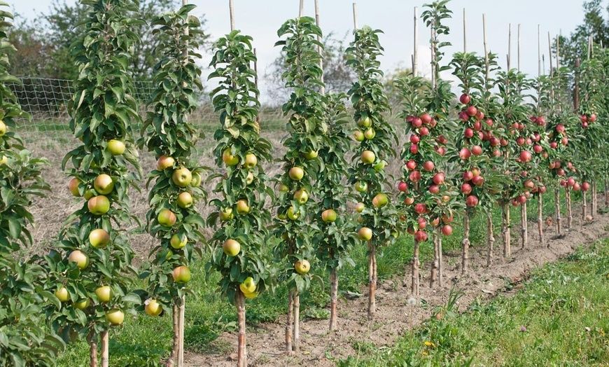 ������ ������������� ������ ����� ����� �������� ������� ��� ������ ����