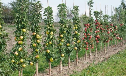 ������ ������������� ������ ����� ����� �������� ������� ��� ������ ����