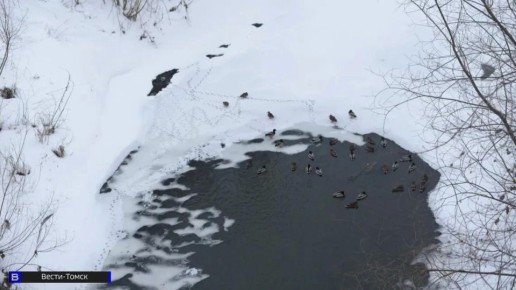 �� -2�� �� +12��: ����������� ������� ������ � ������ �� ������