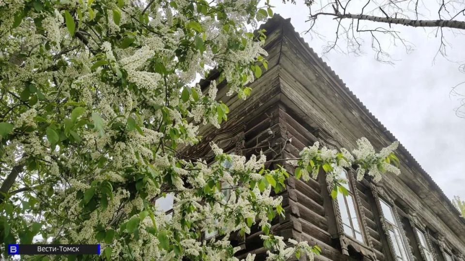 �������, �������� � �������: ��� �������� �������� ���� 20 ������