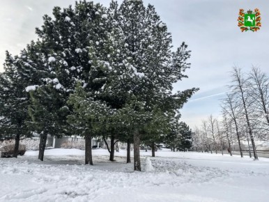 �������� ������, ������� �������!