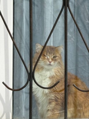 ������� ������ ���� �� ��������, ��� ���������� � �������