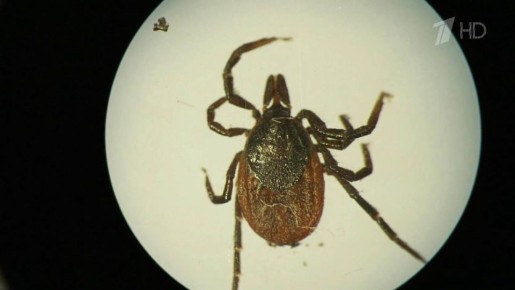 � ������ ����� ������� �� ����� ���������, ������� ���� � ���� ����� ����� �����