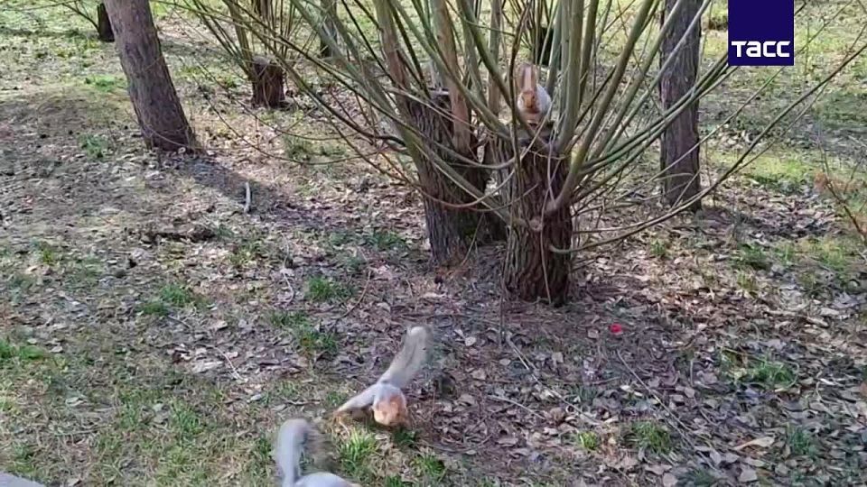 ����������� �� -14 �C, ���� � ���������� ��������� � ��������� ������ � ������� ������� 21 ������