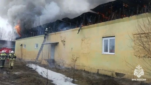 16 ���������� ����� ����� � �������� ���� ����������