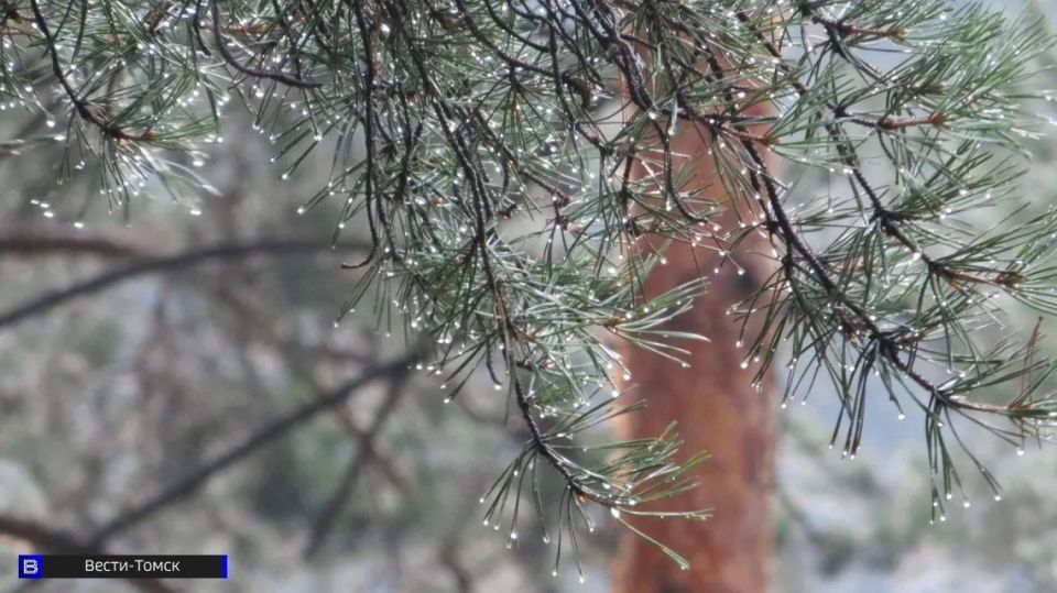 �������� ������� ����������, ��������� ��������� ����� ������� � ������