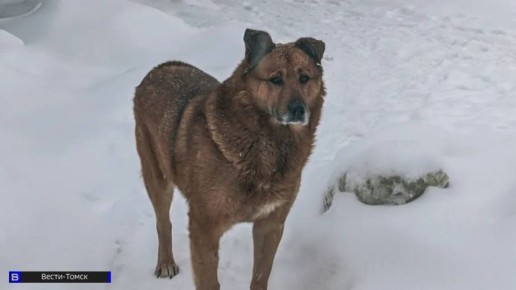 ������ ����� ��������� ������������� � ������� �������