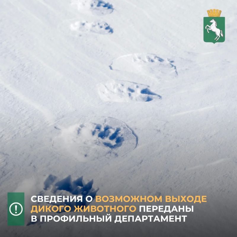 � ������������� ������ ��������� ��������� �� ������� ������ �������� � ��������� ��������� ������ ����� � ������ ���� � 83. �� ��������� ����������, �������� �������� ���������� ������� ��������� ���, ����������������...