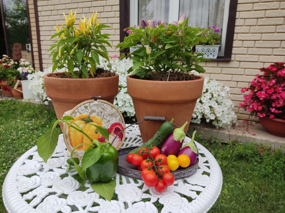 ������� �����������: ��� ����� ������ � ��������� �������