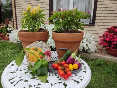 ������� �����������: ��� ����� ������ � ��������� �������