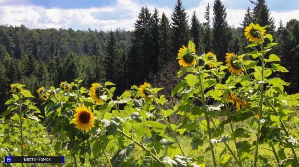 ������� ���� 22 ������: �������� �������� � �������