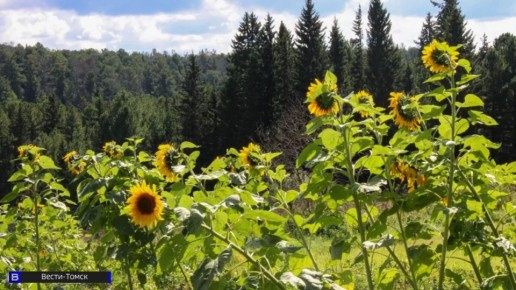 ������� ���� 22 ������: �������� �������� � �������