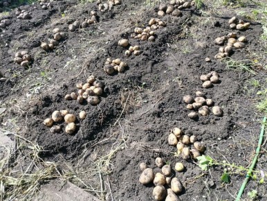 �������� � ������� �������� ��������� � ����