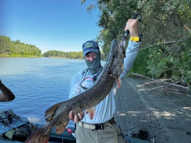 �� ��� ������ ������������� �������: ���� ������ ����������