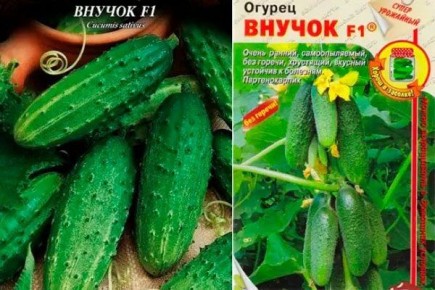 ��� ������ ������ ����������� ������� � ������ ���������