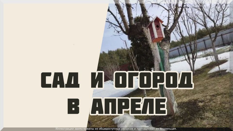 ������ �� ����: �������� �� ������ � ����� � ����