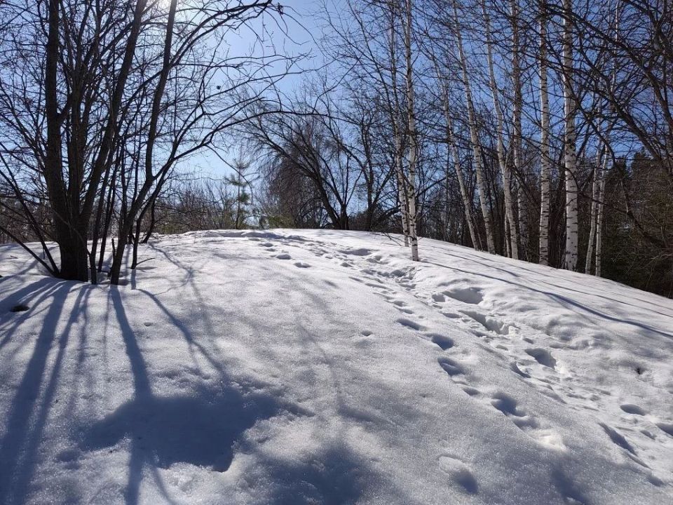 �� ���� �������� ������������ ���������������� ��������� ��� ������� � ���������������� ����� ������� �������� ������ �� �����, ����������� �������� ��������� ����