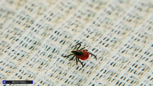 � ������� ������� � 25 ������ ��������� �������������� ������ ����������������