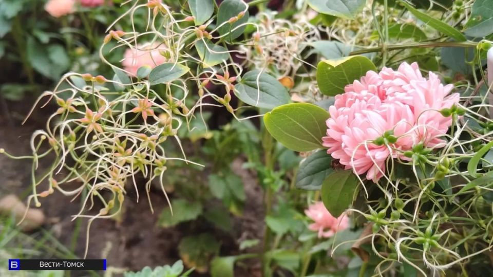 ��������� ���� 23 ������ 2026 ����: �������� ������� � ��������