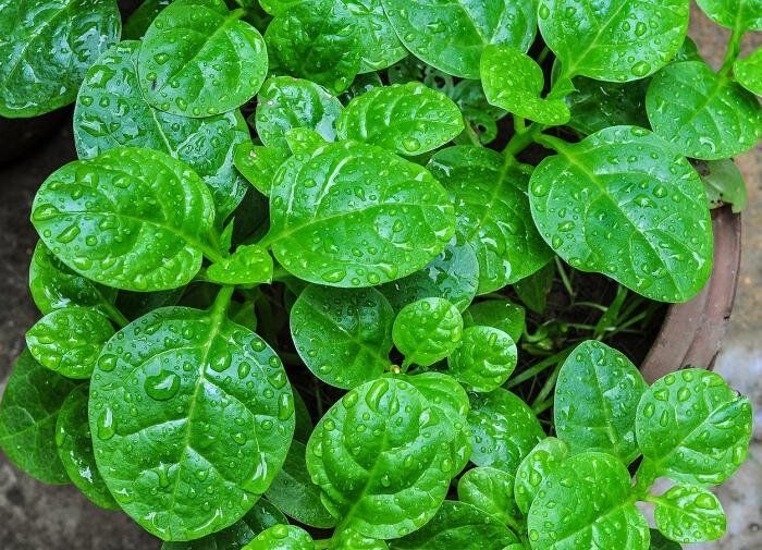 5 ������ ��������-����������� ��� �������: ��� �������� ������ �� ����������