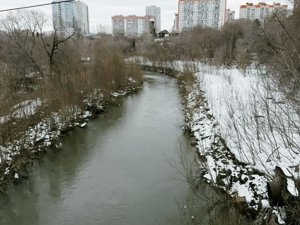 ������� ������: C���������� ��������� � �������� ������ ���� � �����