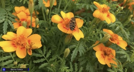 ������� ����: �������� � ������� �� 24 ������ 2026 ����