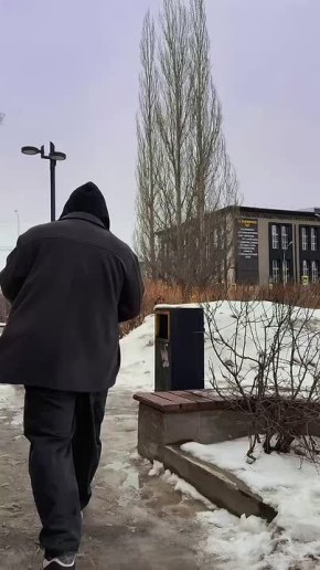 ���� ���� ������ �� ����������