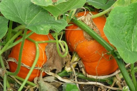 �����: ������� ��������� ����� � ����� �� ������� �������