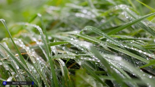 ���� ������� ����������: ������� � �������� 25 ������ 2026 ����