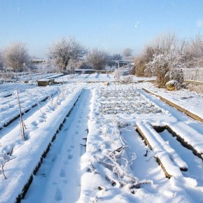 ������ ��� ��� ������: ��� ��������� �������� ��������