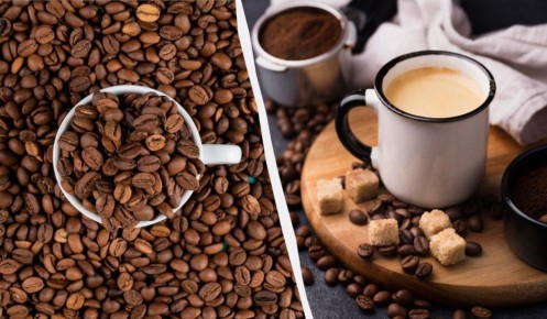 ��� ��������� �������� ����: ������� ���������� ����������� ����� � ����