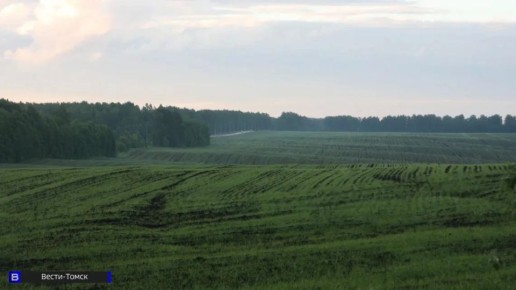 ��������-2026: ��� ��������� ������ ������� ��������