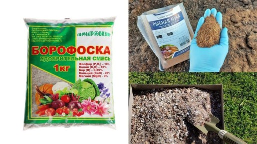 ��� ��������� ����������� ����� ��� �������, ����� �� �������� ������