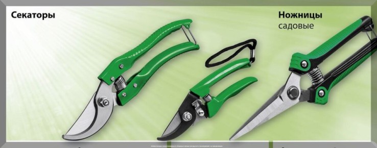 ��� ������� ��������� �������: ������ ��� ���������� ���������