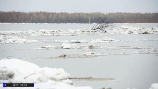 ������ �������� �� ��� ������ 216 �� � �������� ���������