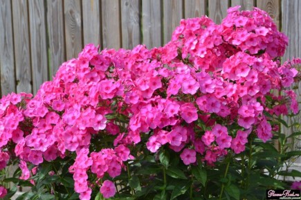 ��� �������� �������� ������: ������� ����� �� ������ �� � �������� ������