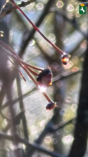 ������� ���������� ����!. ��������� ��������������� ����� ������, +18�