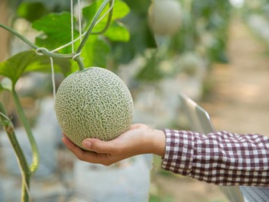 ��� ������� ������� ���� � �������: ������ ��� ������ �������� ������