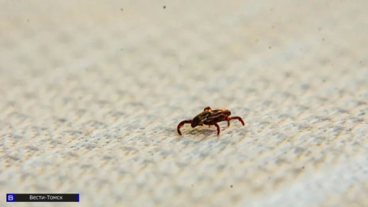 ����� 200 ������� ���������� �� ������ ������