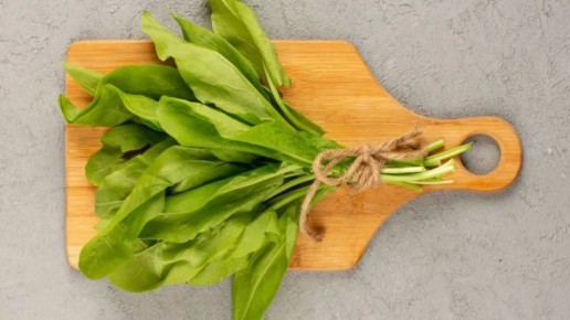 ������ ������ ����� ����� � ������� ������: ����� ����� �������� ����