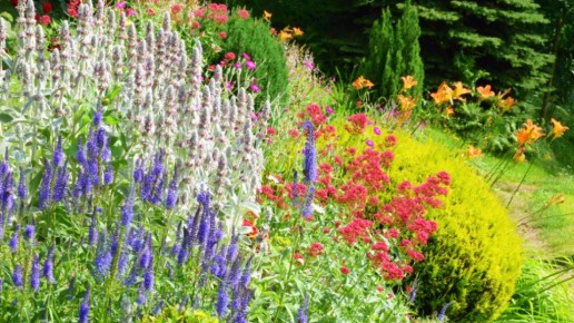 ��� ��������� ����� ������ ���: �������� ��� ���� ����� �����