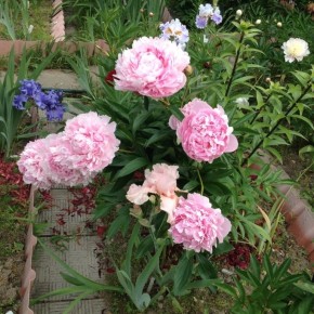 ������� ���� ���: ������ ����������� ����� ��� ������� ������ ������