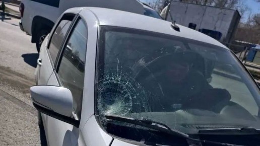 � ������ �� ������������� ��������� ����� 12-������� �������������