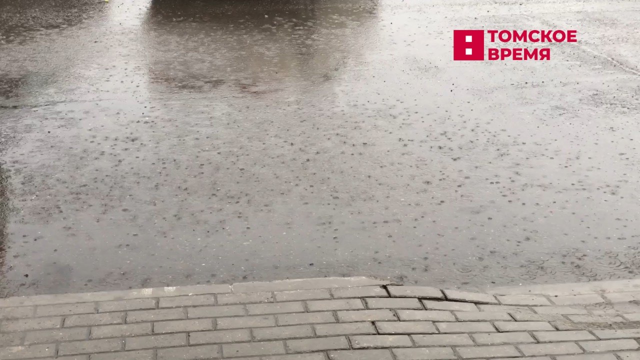 В регионе будет ветрено и влажно