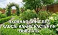 ��� ������� ������� ���� ���������������: ���� ��� �������� � ������� � �������